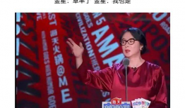 当代娱乐圈吃瓜日常小说,瓜田里的甜蜜陷阱