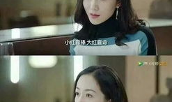 娱乐圈吃瓜系统小说完结,幕后真相大揭秘